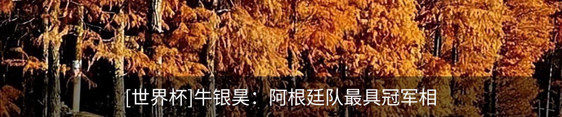资讯中心